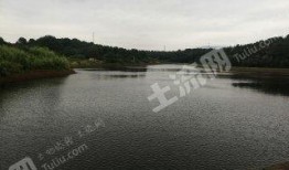 长沙水库爆料最新消息,水质突变事件调查进展揭秘